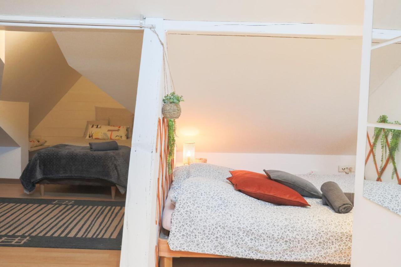 Le Petit Loft, Mulhouse Centre Διαμέρισμα Εξωτερικό φωτογραφία