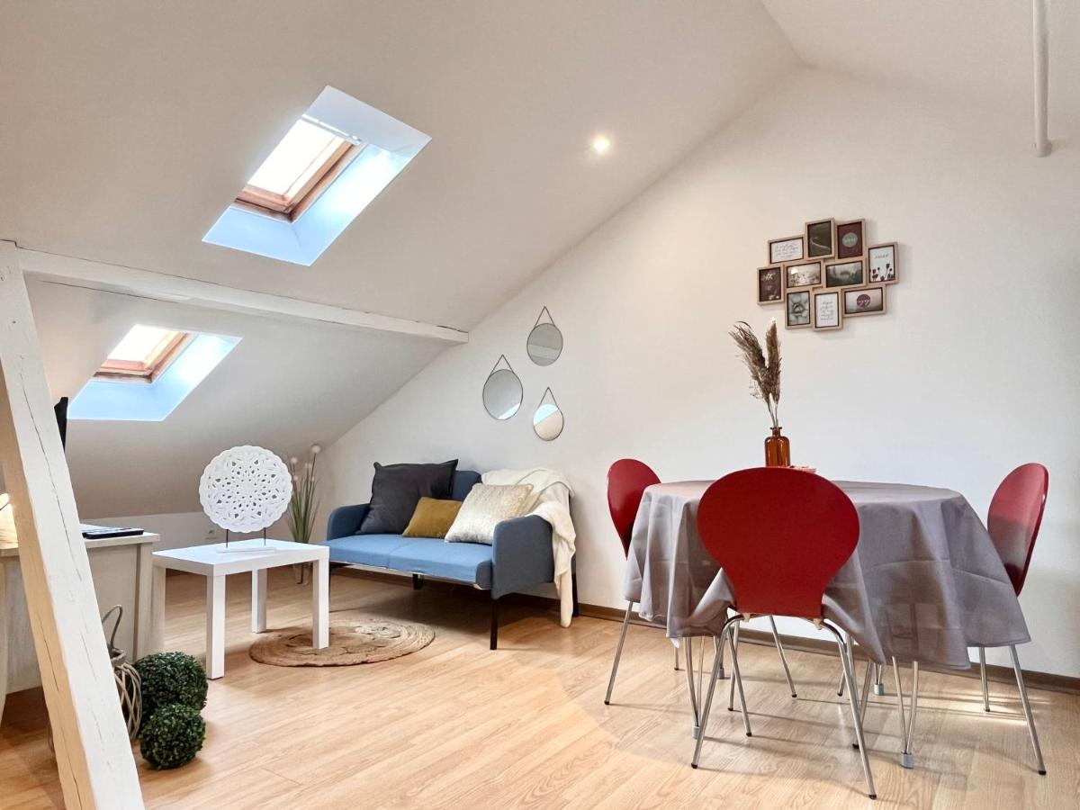 Le Petit Loft, Mulhouse Centre Διαμέρισμα Εξωτερικό φωτογραφία