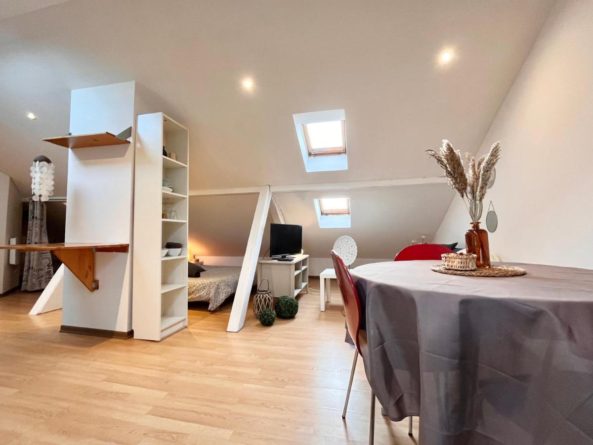 Le Petit Loft, Mulhouse Centre Διαμέρισμα Εξωτερικό φωτογραφία