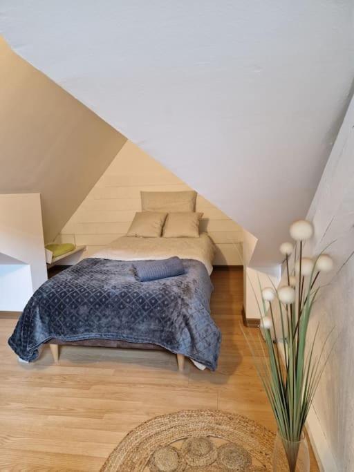 Le Petit Loft, Mulhouse Centre Διαμέρισμα Εξωτερικό φωτογραφία