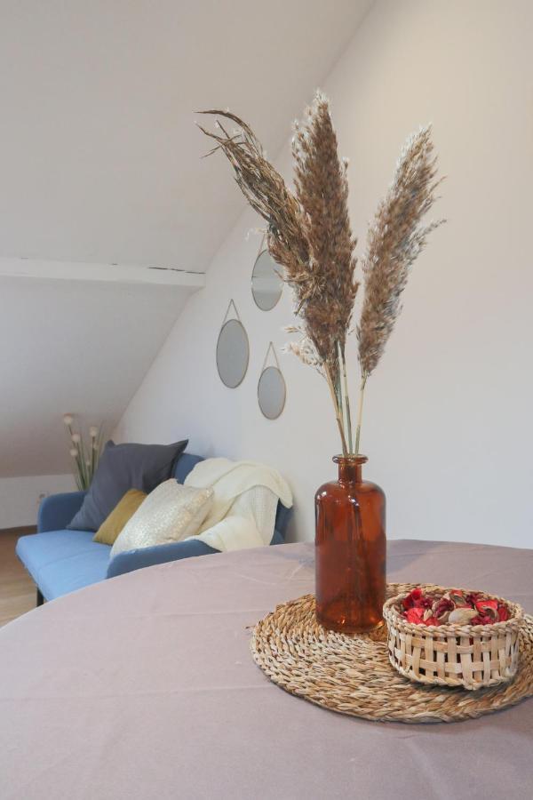 Le Petit Loft, Mulhouse Centre Διαμέρισμα Εξωτερικό φωτογραφία