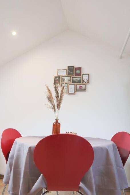 Le Petit Loft, Mulhouse Centre Διαμέρισμα Εξωτερικό φωτογραφία