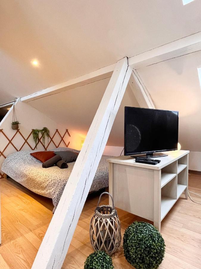 Le Petit Loft, Mulhouse Centre Διαμέρισμα Εξωτερικό φωτογραφία